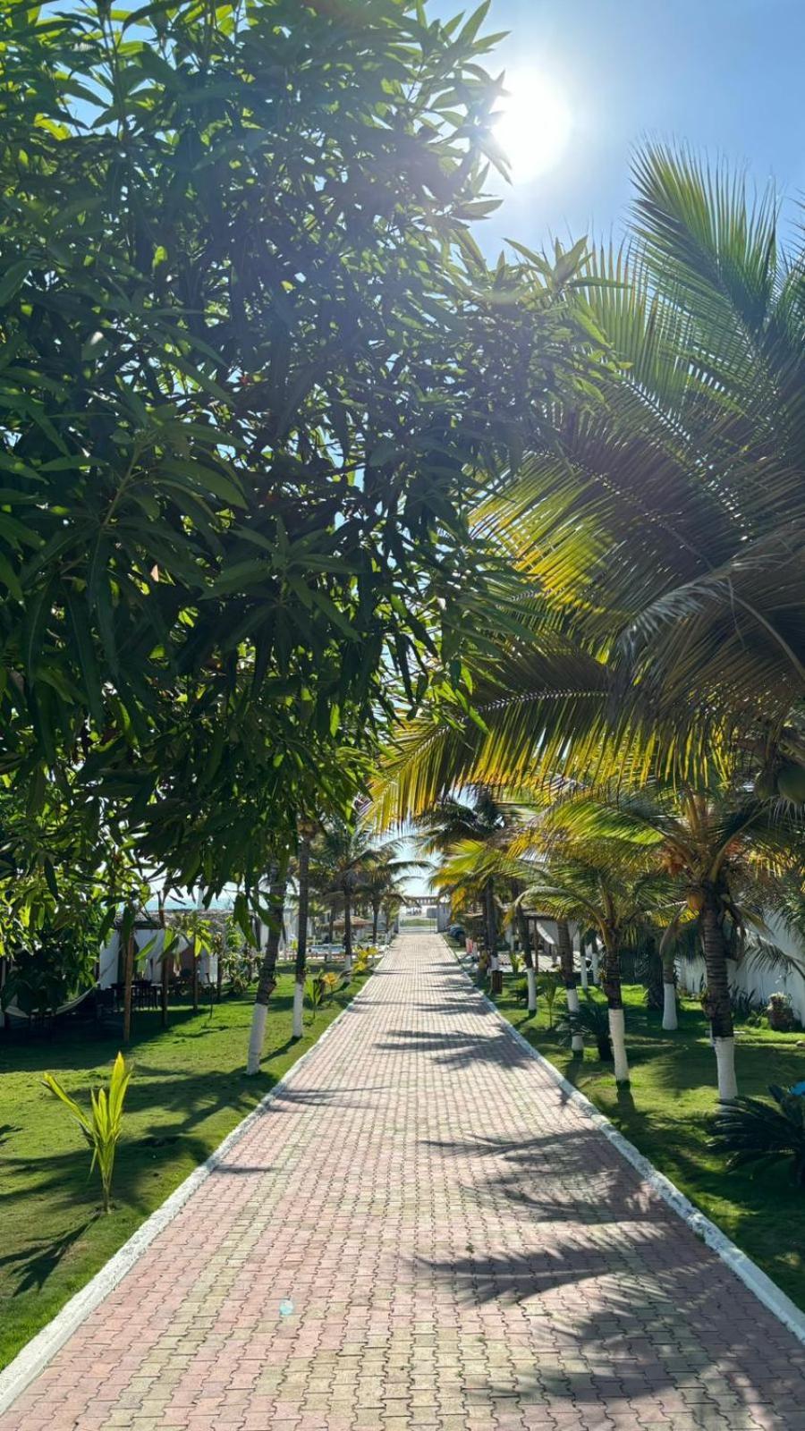 Hotel La Mar Playas Eksteriør billede